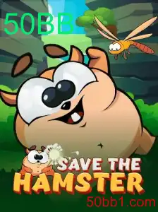 SavetheHamster: Um Guia Completo sobre o Jogo 50BB